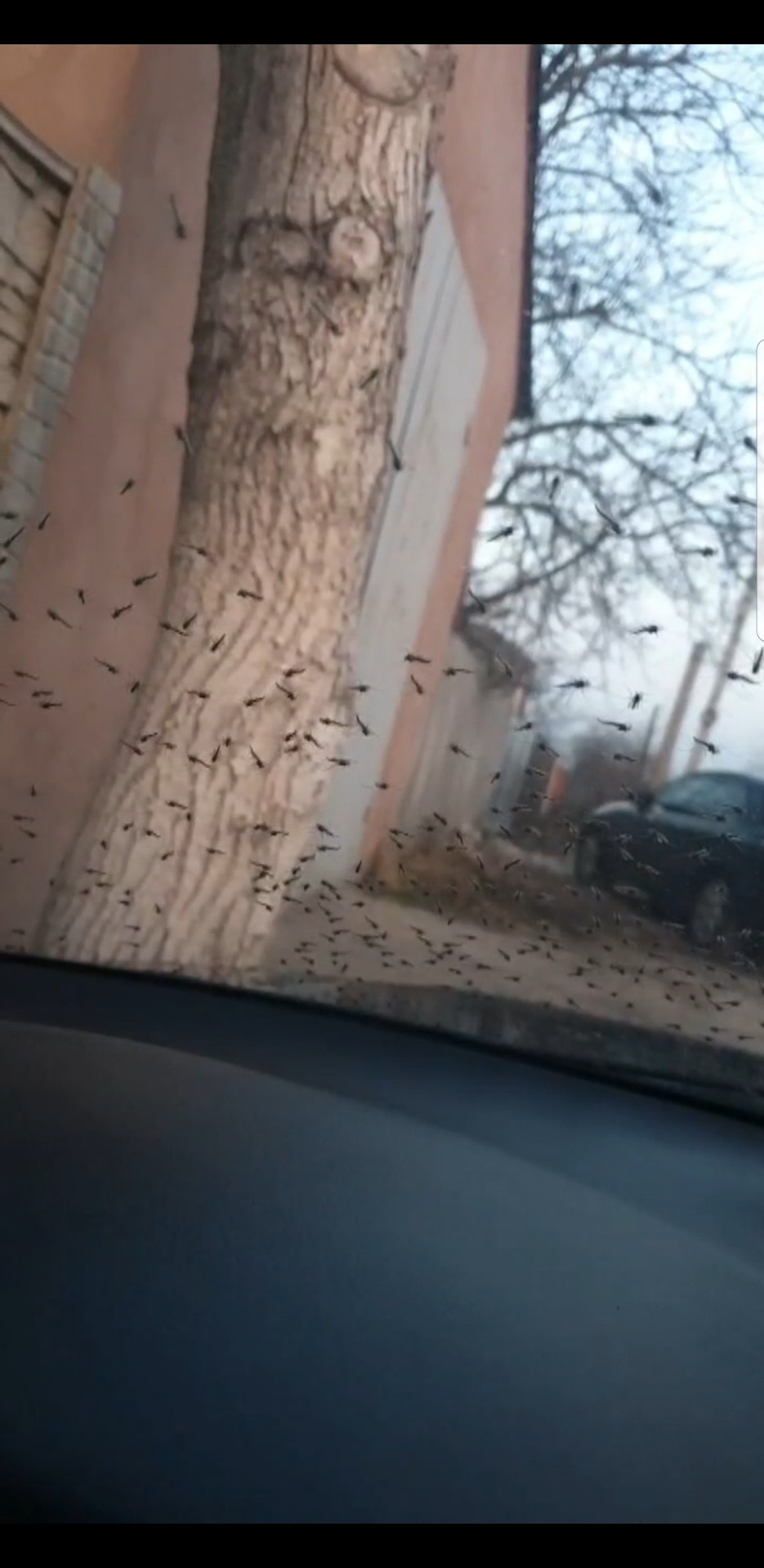 І смішно, і страшно 1
