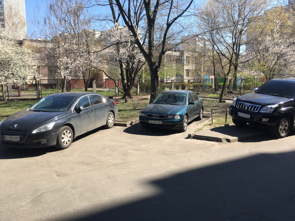 Питання до ауді вод 2