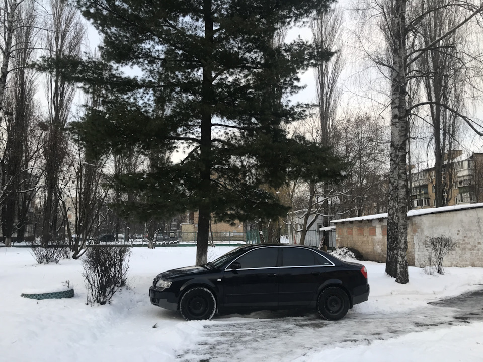 Зимові фото на залізяках) 1