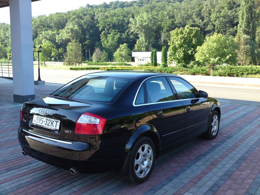 Невеликий фотосетик у Каневі) 3