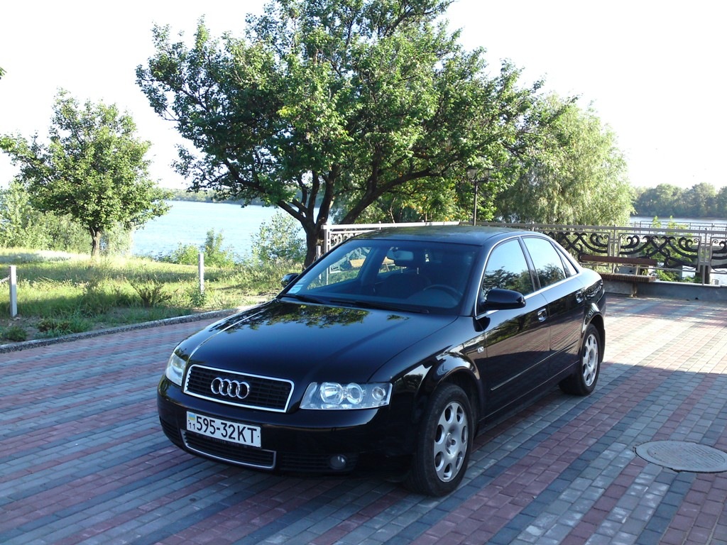 Невеликий фотосетик у Каневі) 2