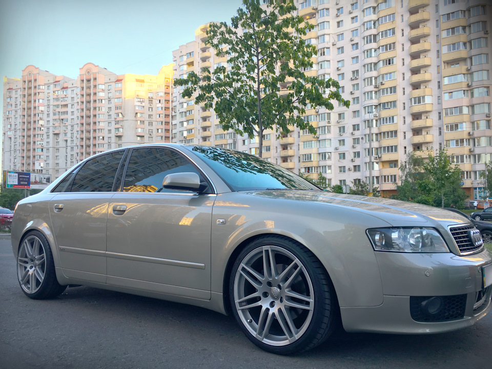 Speedline ST5 /// R19 3
