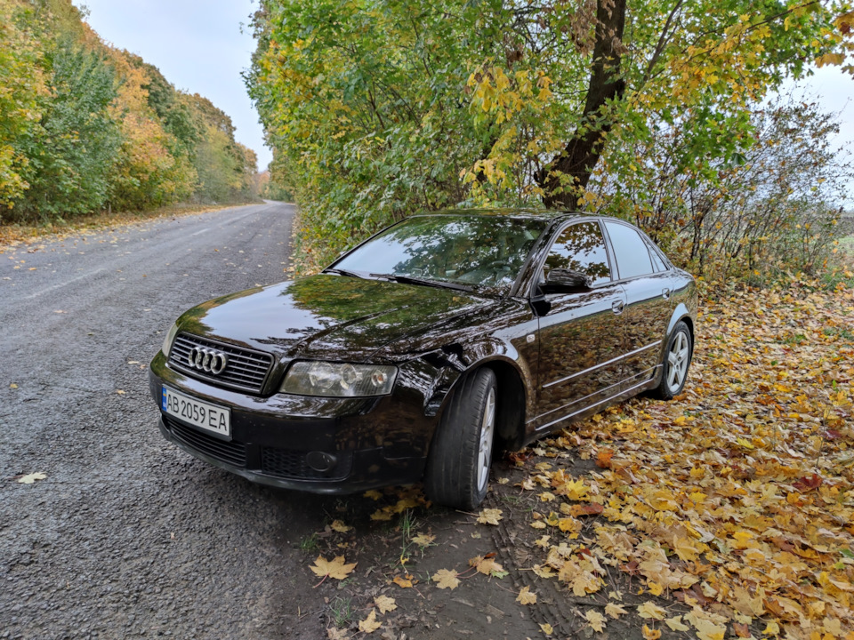 Поліровка, віск та результат. 3