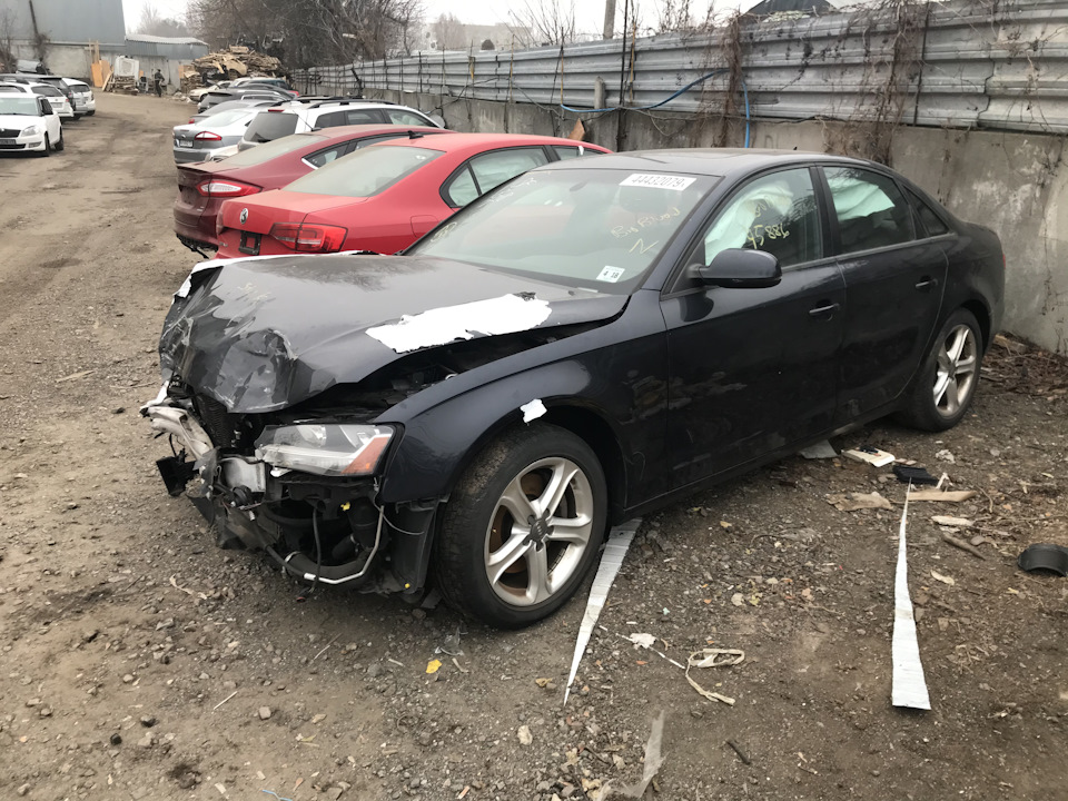 Audi in Kyiv 4