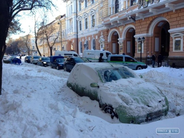Наслідки морозу 2