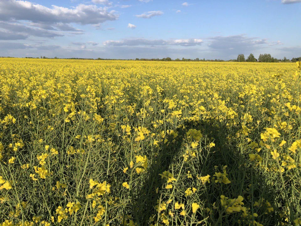 Відпочинок)