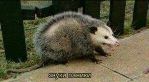 Це ви можете! можливо, чи станете, інше питання. 2