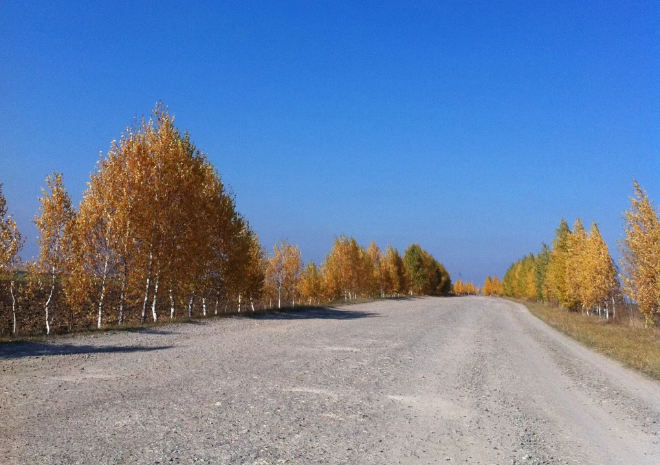 Осінь