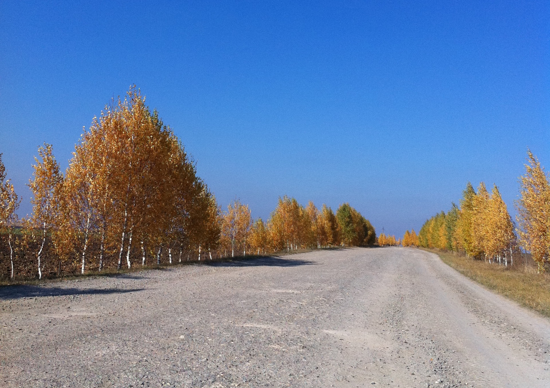 Осінь 1