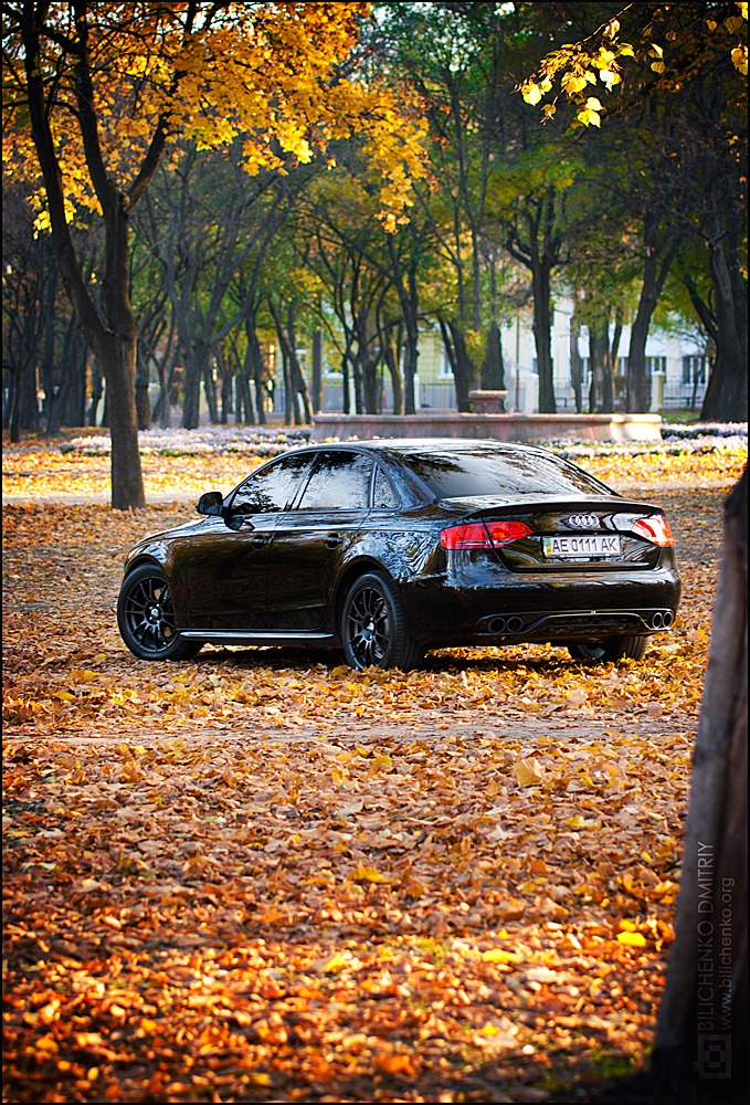 Осінь. Парк. А4. Фото Діма Continentals 4