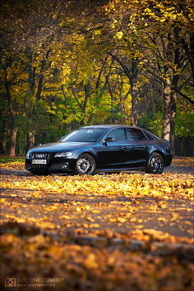 Осінь. Парк. А4. Фото Діма Continentals 2