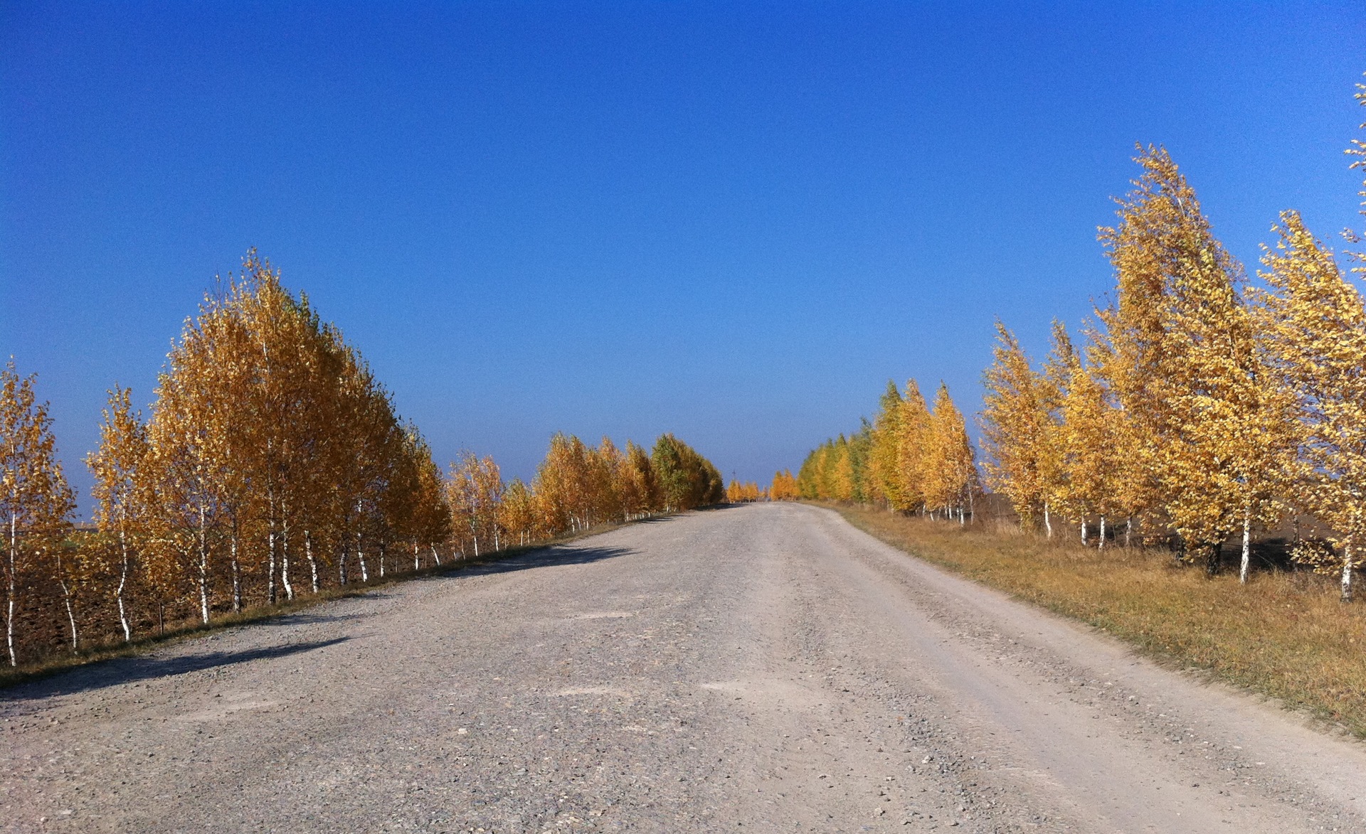 Осінь 2