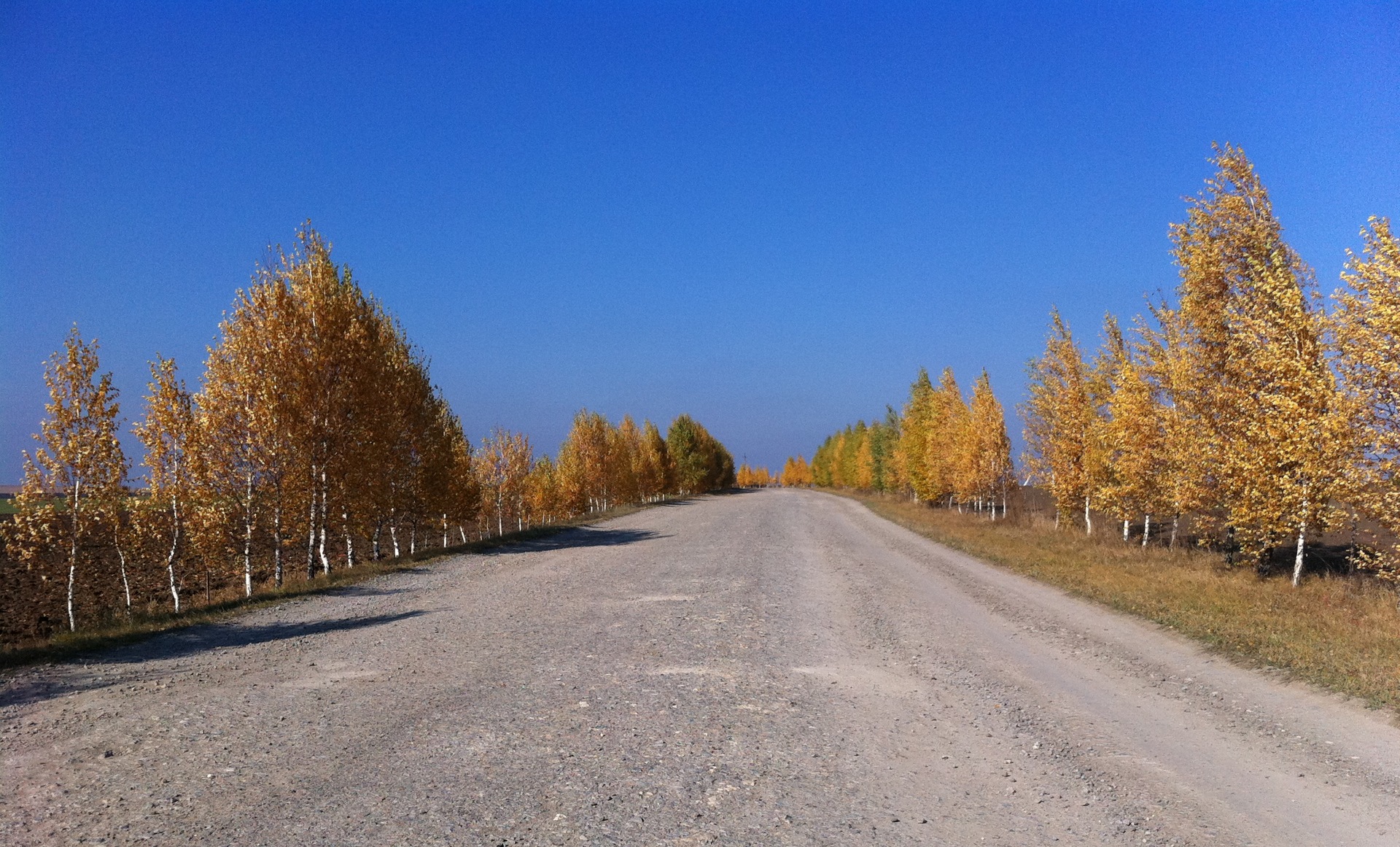 Осінь 3