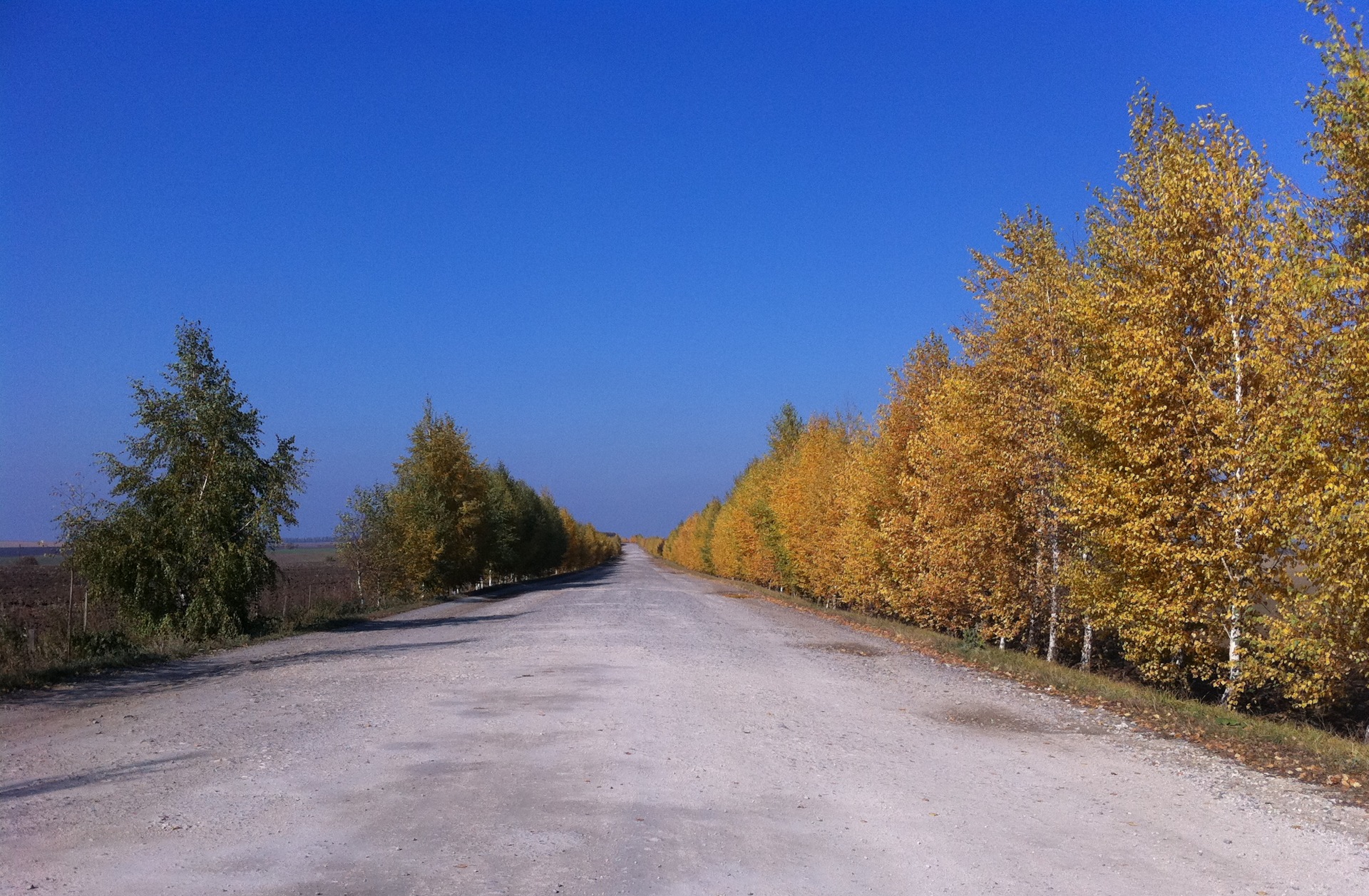 Осінь 4