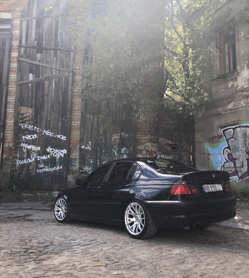 Ducktail carbon 4