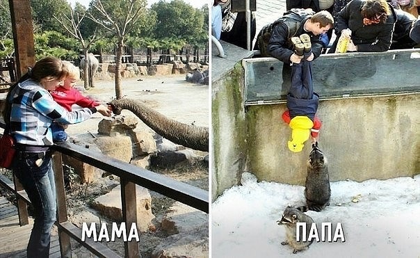 Про Папу! 4