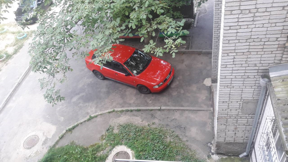 Мурка як 1