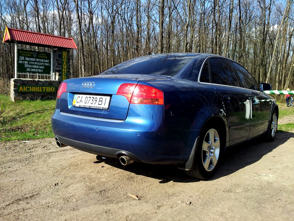 Прогулянка у весняний ліс. 5