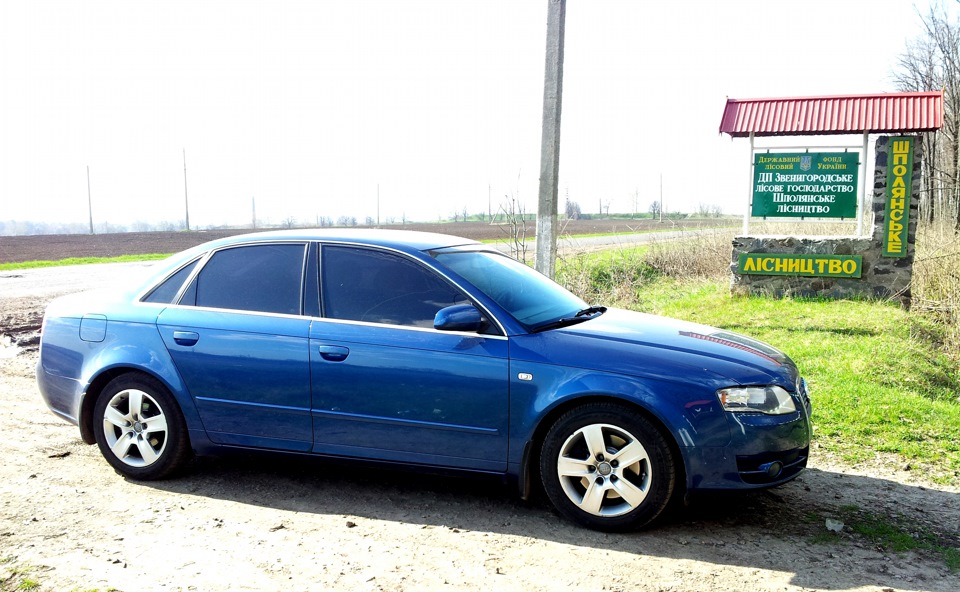 Прогулянка у весняний ліс. 3