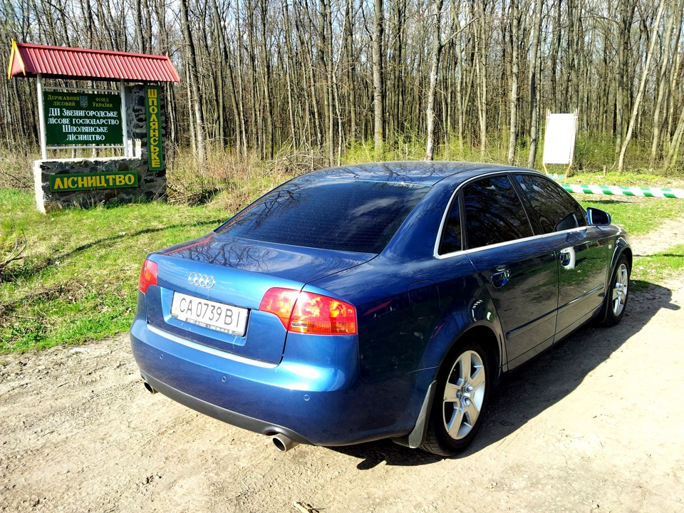 Прогулянка у весняний ліс. 4