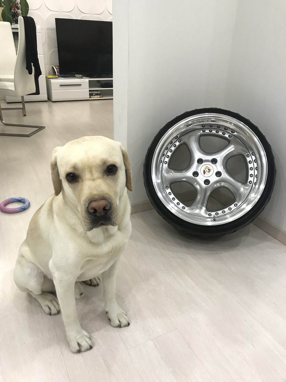 Шильдики ручної роботи PORSCHE 1