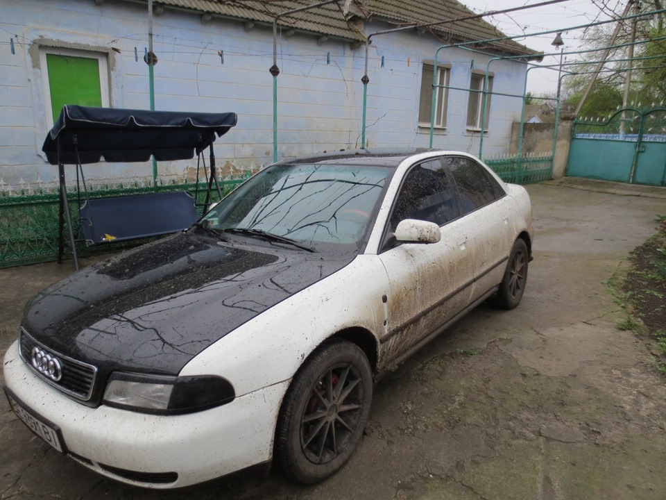 поле, дводенний дощ... 2
