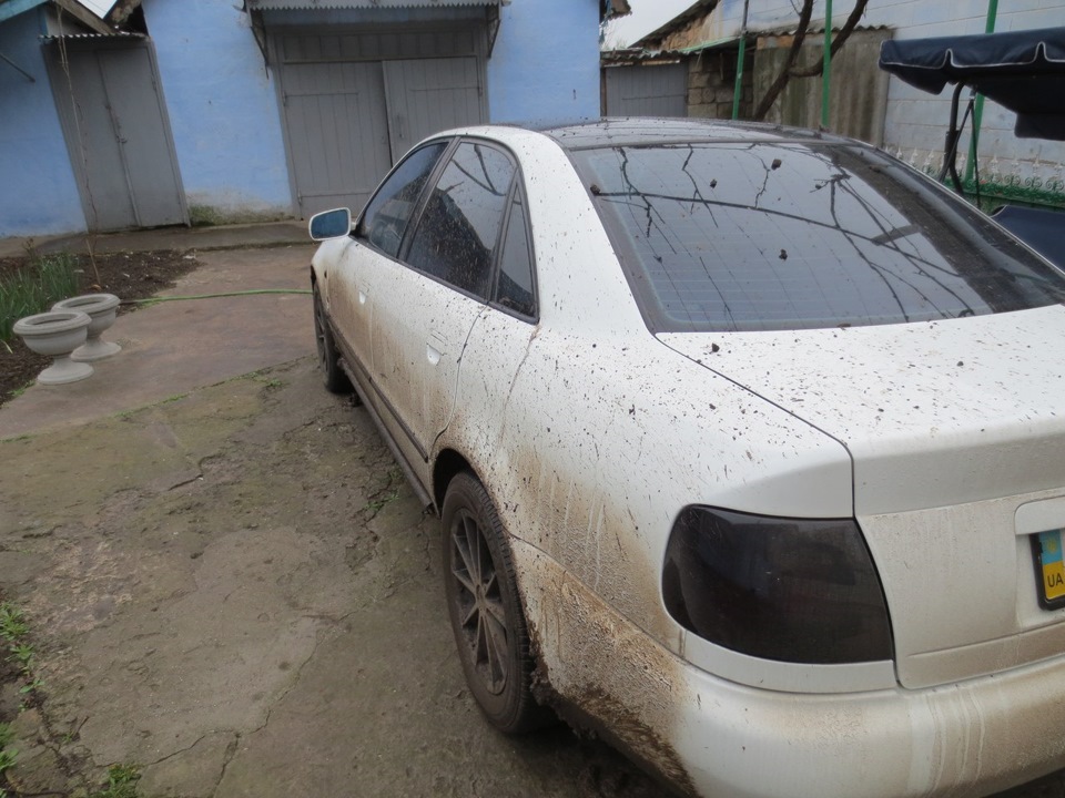 поле, дводенний дощ... 5