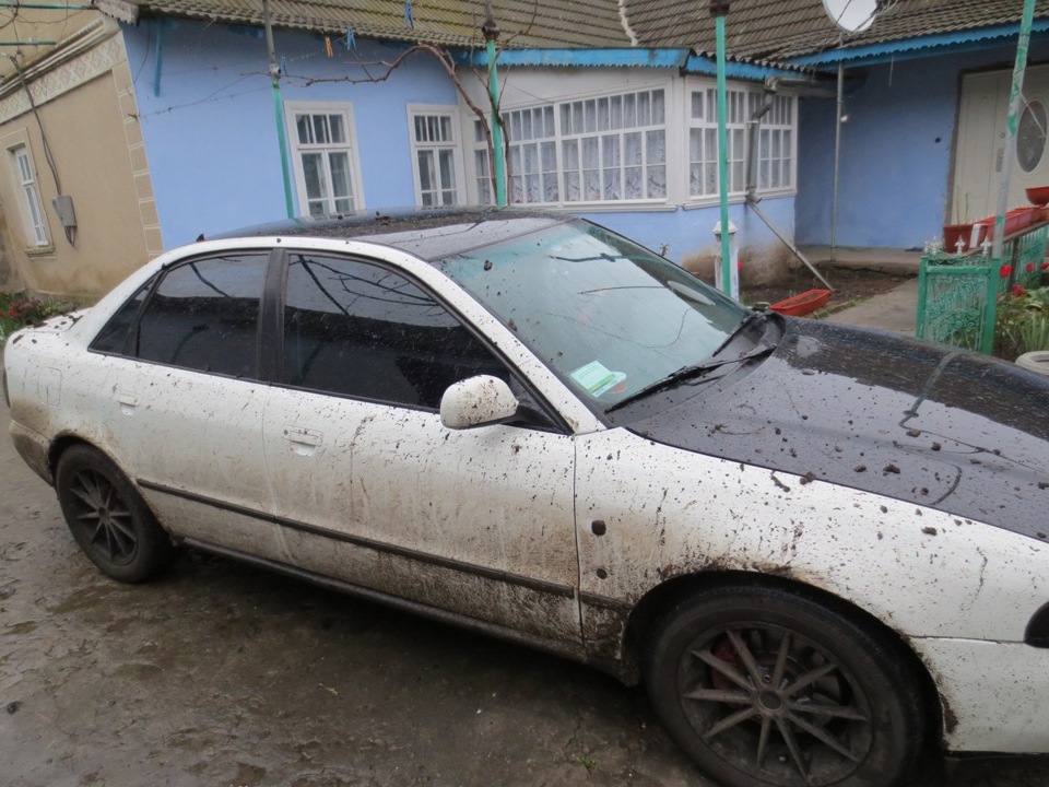 поле, дводенний дощ... 4