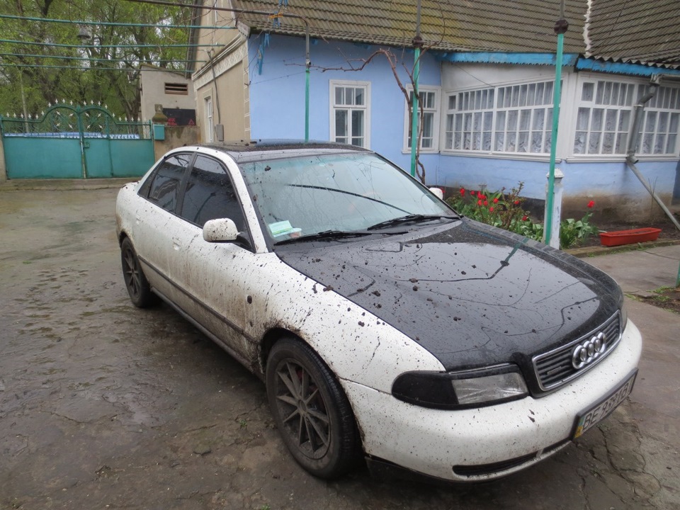 поле, дводенний дощ... 3