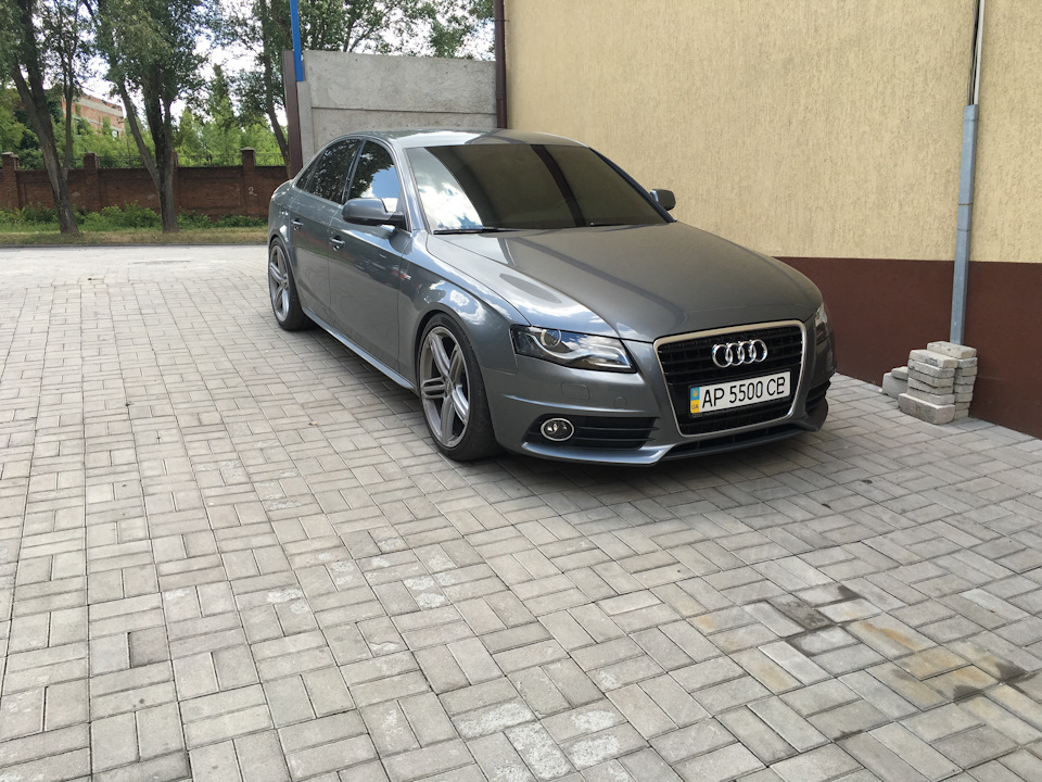 Проставки Eibach 12 mm по колу 3