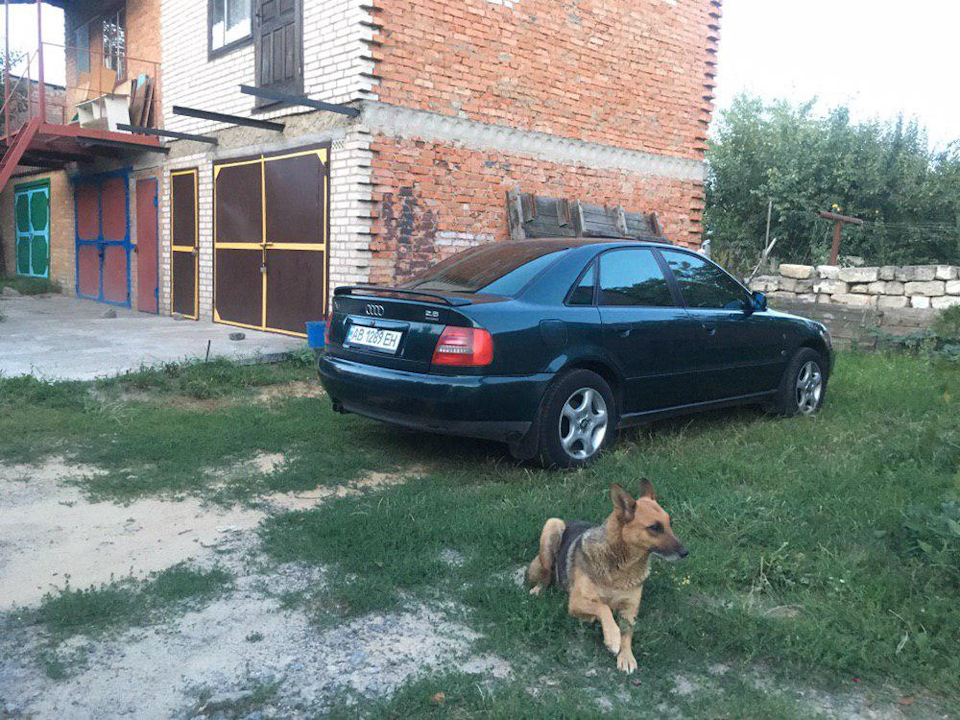 трохи нових фоток) 2