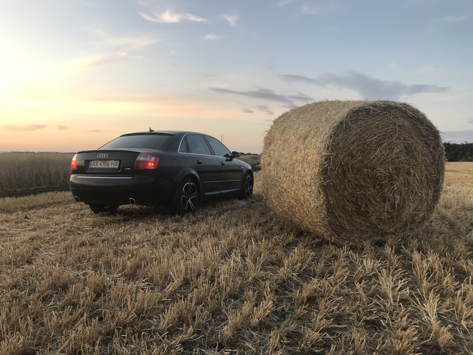 Пару нових фоток 5
