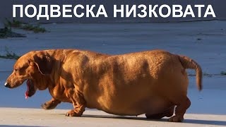 Плавний перехід на підвіску S-LINE... 1
