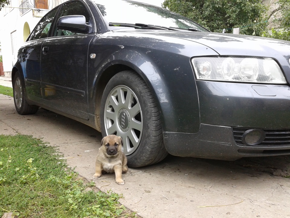 Плани на рахунок підвіски 4