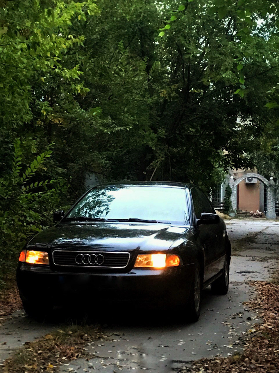 Фотосесія 3