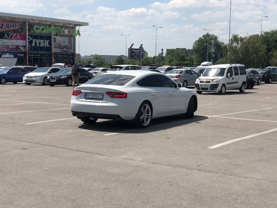 тормозилки 356 перед 330 зад 5