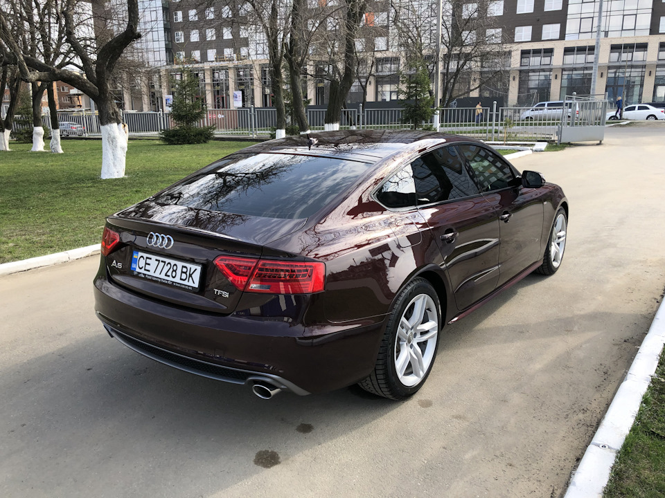 Марафет 1