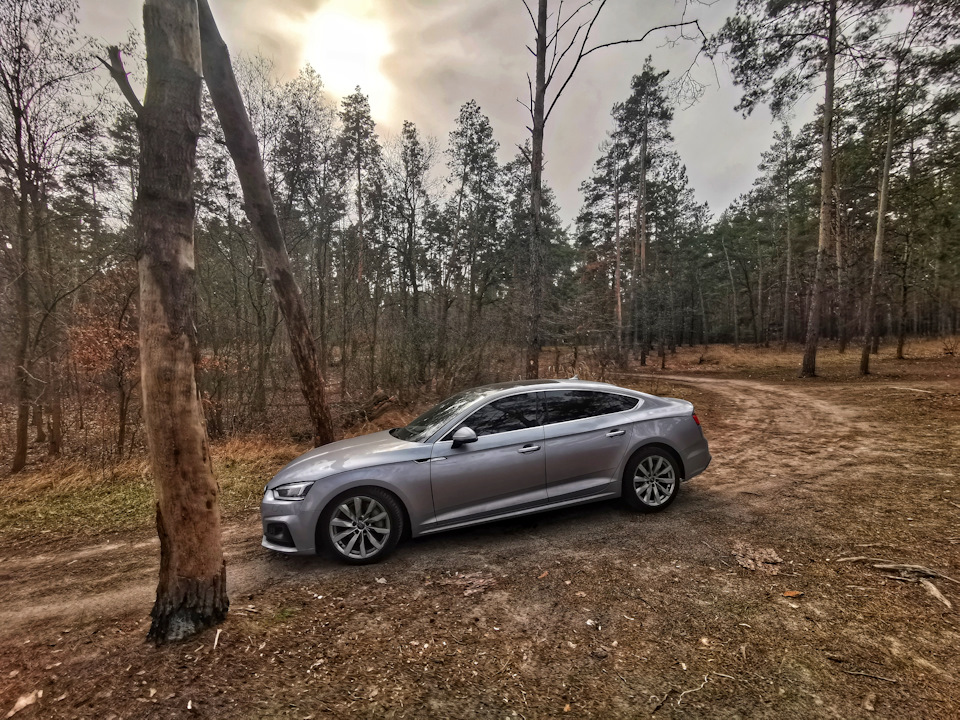 Машина, природа Фотосет) 3