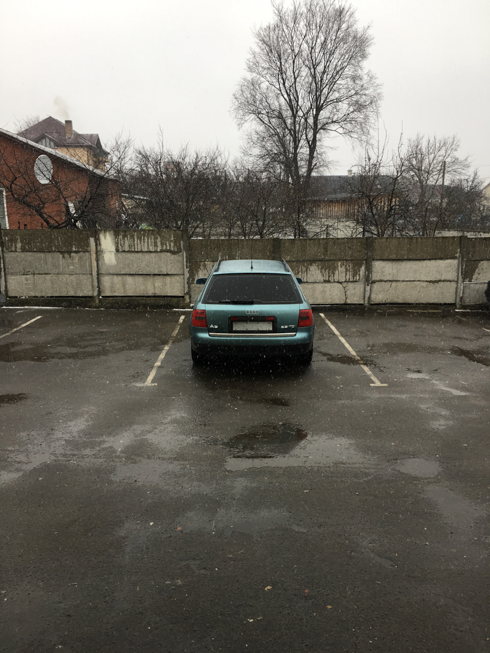 Продав черепаху 😢 1