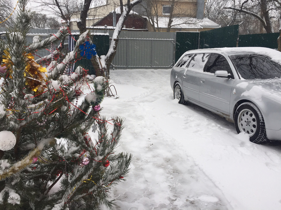-19 політ норм) 2