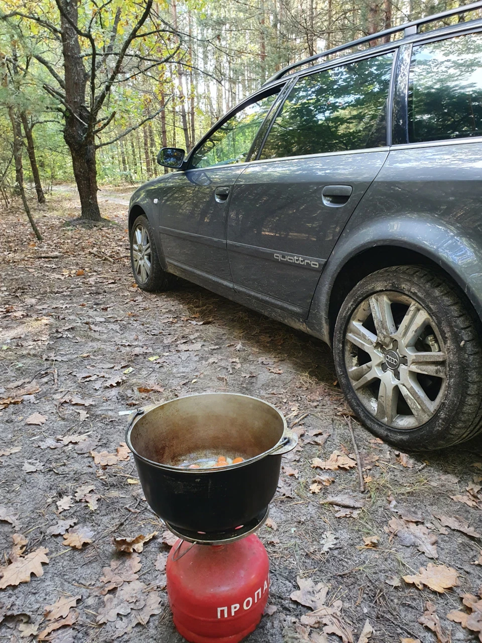 Quattro за призначенням)