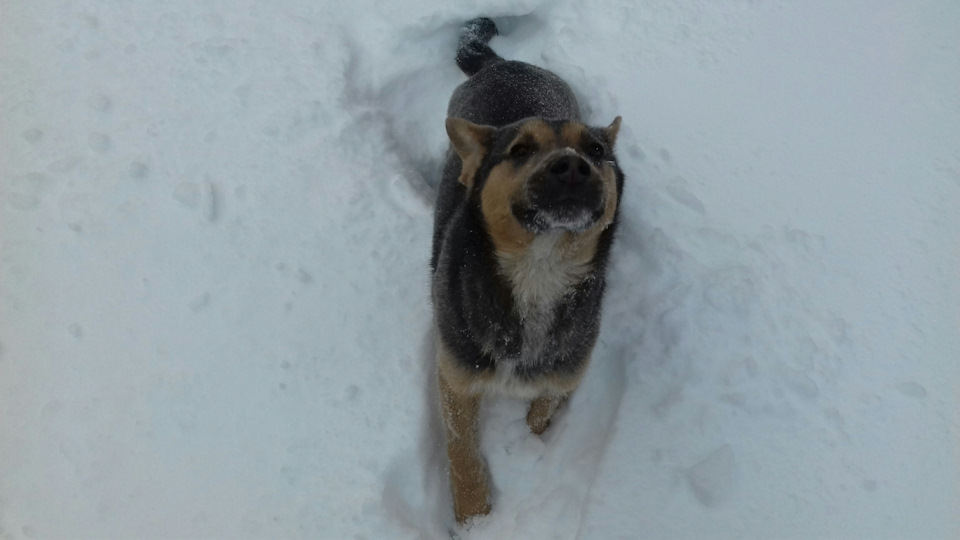 Зима зима ❄❄❄⛄ 5