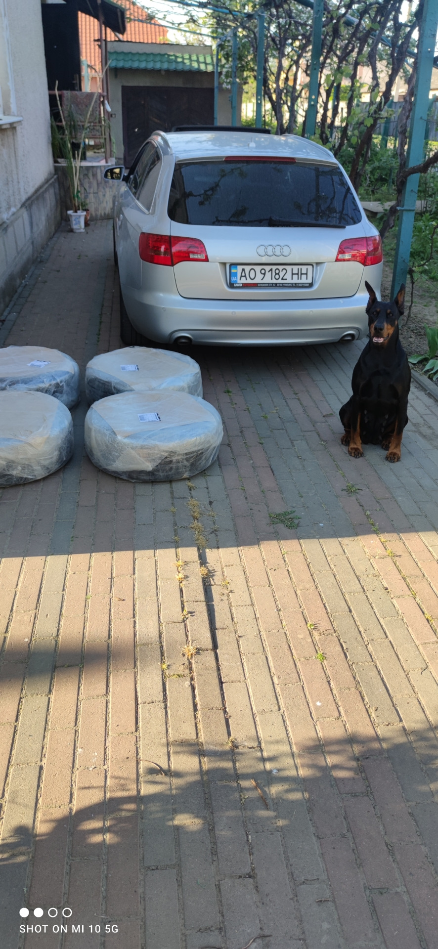 Нові диски з гумою 2
