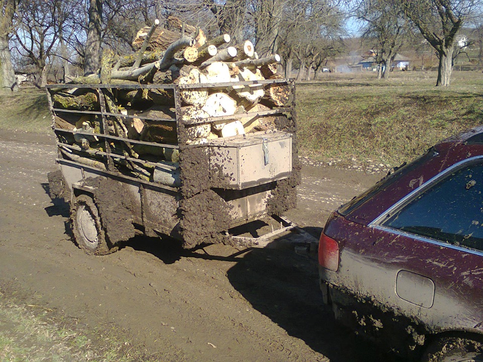 AUDI в лісі 1