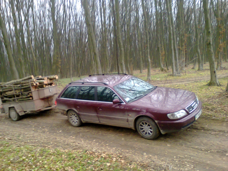 AUDI в лісі 2