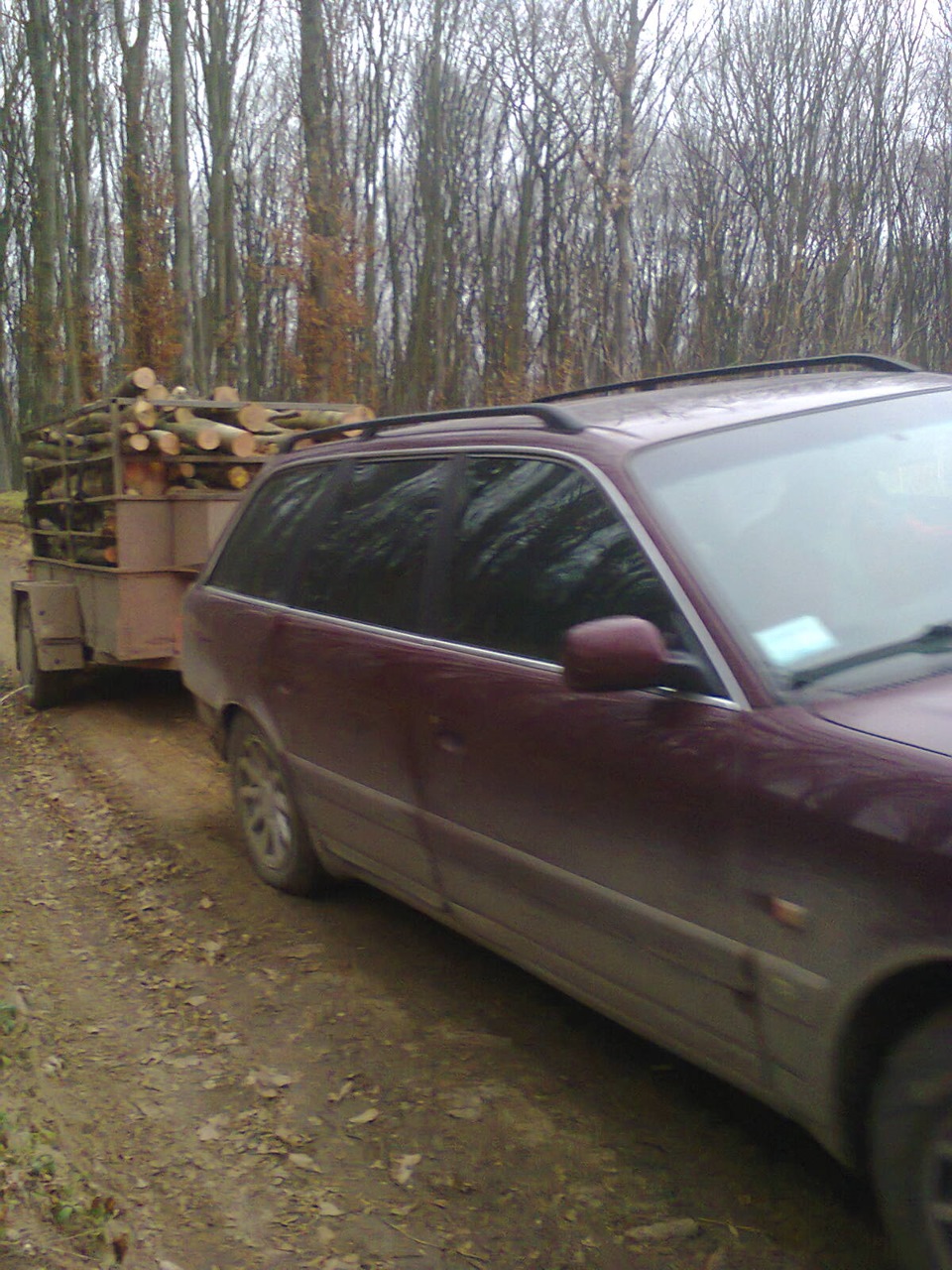 AUDI в лісі 4