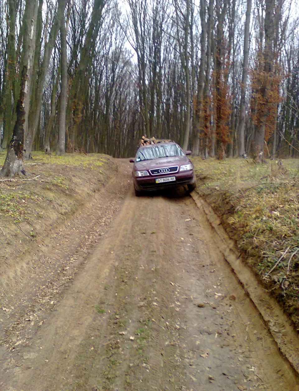 AUDI в лісі 3