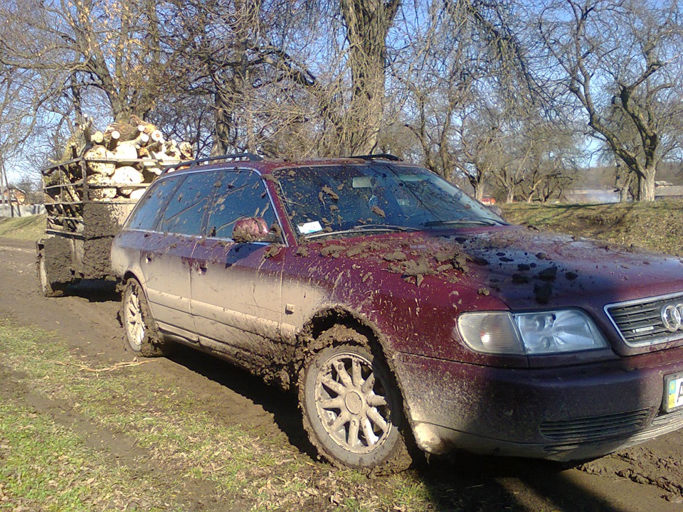 AUDI в лісі 5