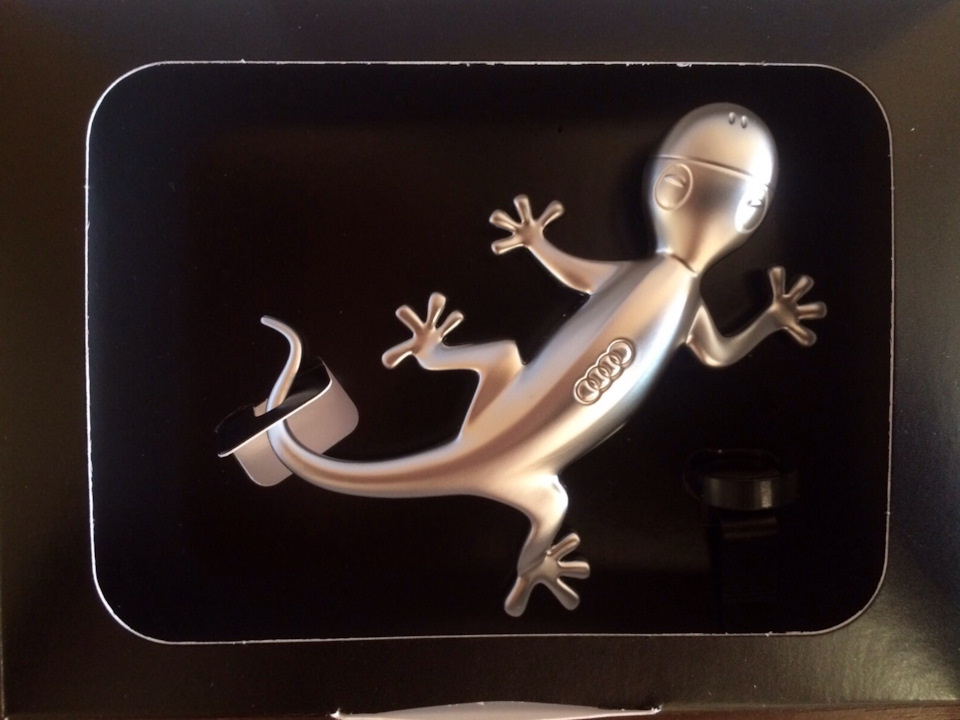 Original Audi Design Gecko 3