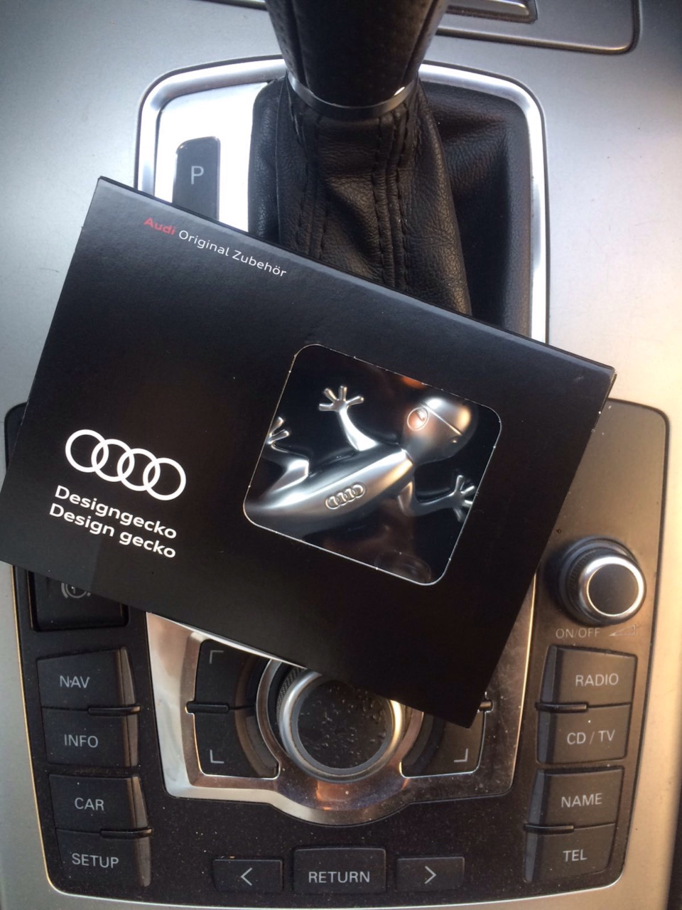 Original Audi Design Gecko 1
